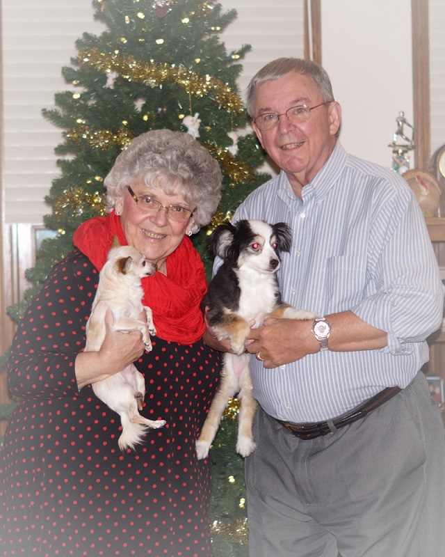 Joanne, Harlow, Tom, Aussie - Christmas 2015